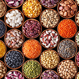 Seed